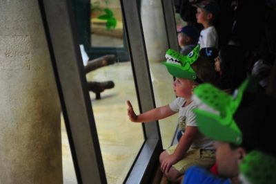 Kinder im Tiergarten Schönbrunn © Sozialmarkt Wien